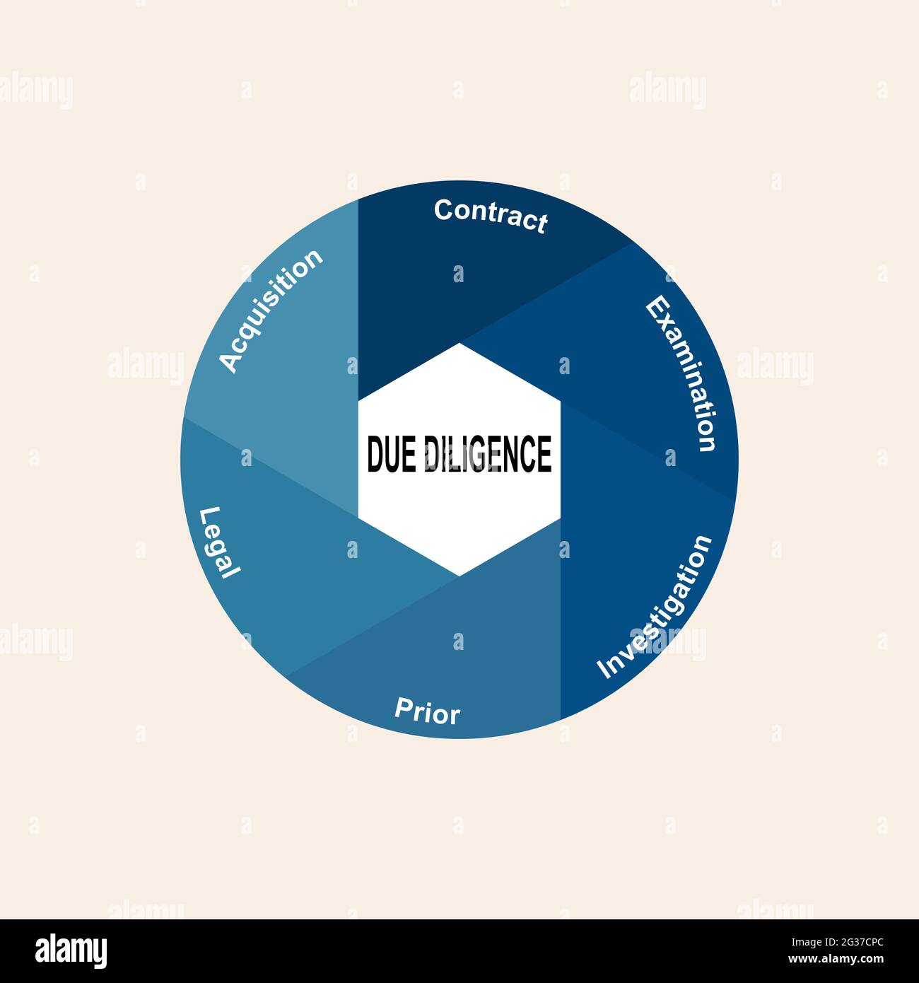 Concept de diagramme avec texte et mots clés de due diligence. EPS 10 isolé sur fond blanc Illustration de Vecteur