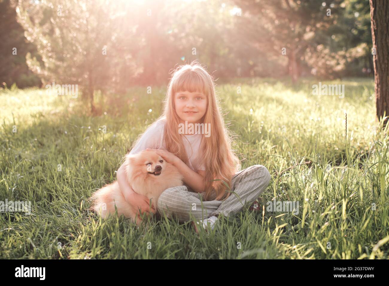 Mignon sourire petite fille de 6-7 ans s'amuser avec un chien domestique assis dans le parc sur une pelouse d'herbe verte à l'extérieur avec lumière du soleil. Saison d'été. Ami Banque D'Images