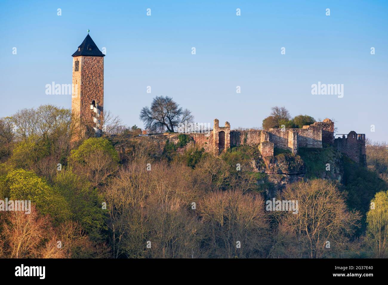 Ruine du château de Giebichenstein, Morgenrot, Halle an der Saale, Saxe-Anhalt, Allemagne Banque D'Images