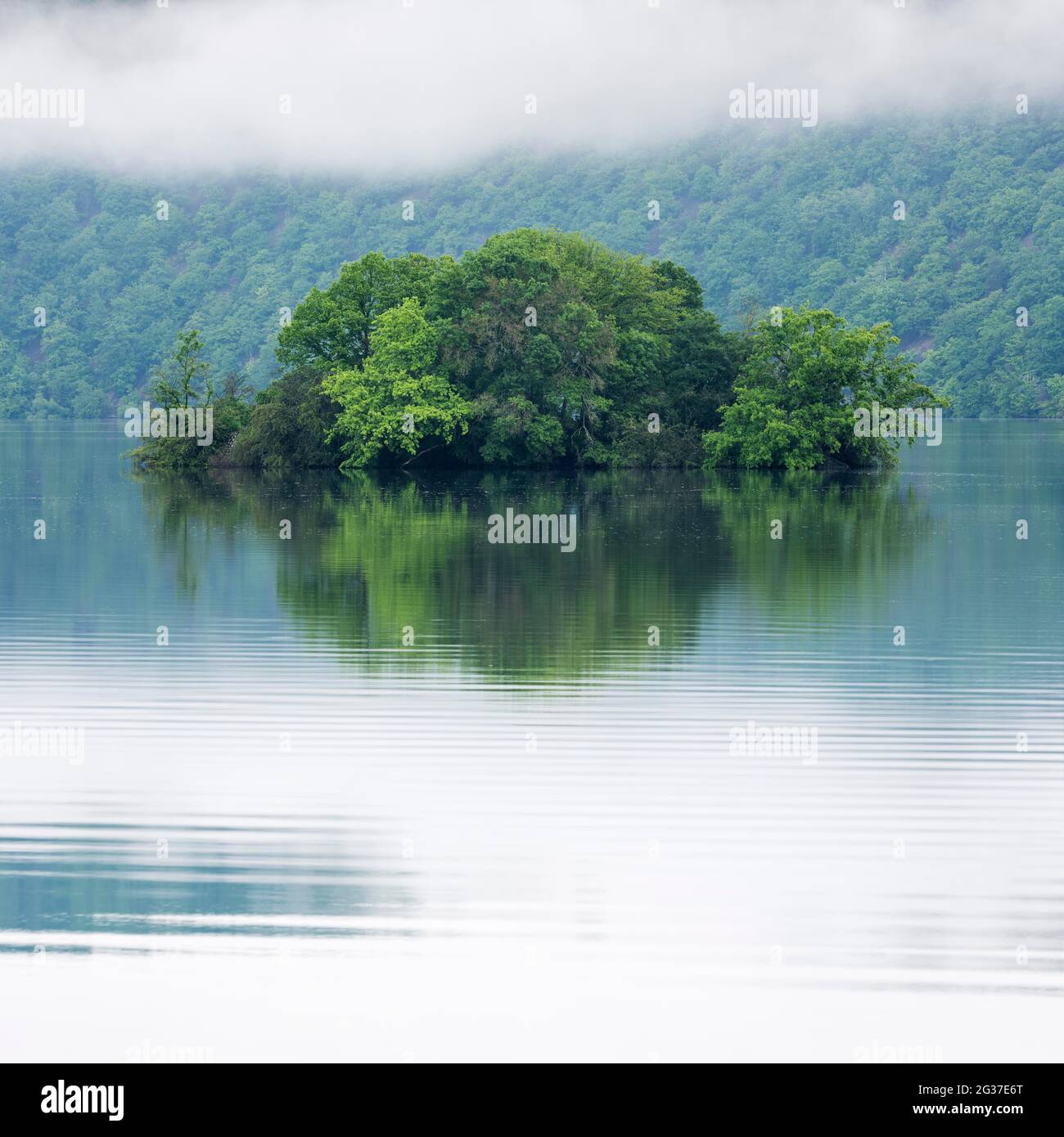 Petite île de l'Edersee avec brouillard matinal, Ederstausee, Edertalsperre, Hesse, Allemagne Banque D'Images