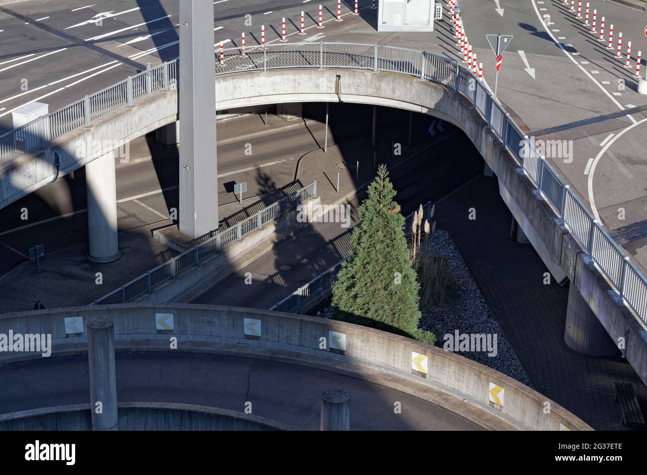 Arbre unique au milieu de routes surélevées, cyprès, image symbolique du désert de béton, vert dans la ville, Rhénanie-du-Nord-Westphalie, Allemagne Banque D'Images