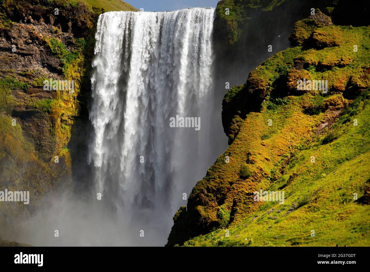 Cascade, Skogafoss, Islande du Sud, Islande Banque D'Images