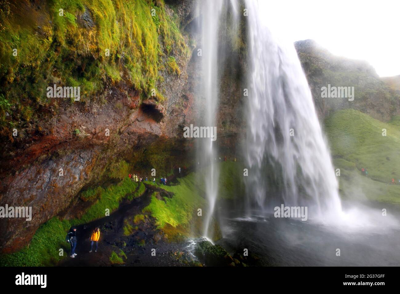 Cascade, Seljalandsfoss, escarpement des Highlands, côte sud, Islande Banque D'Images