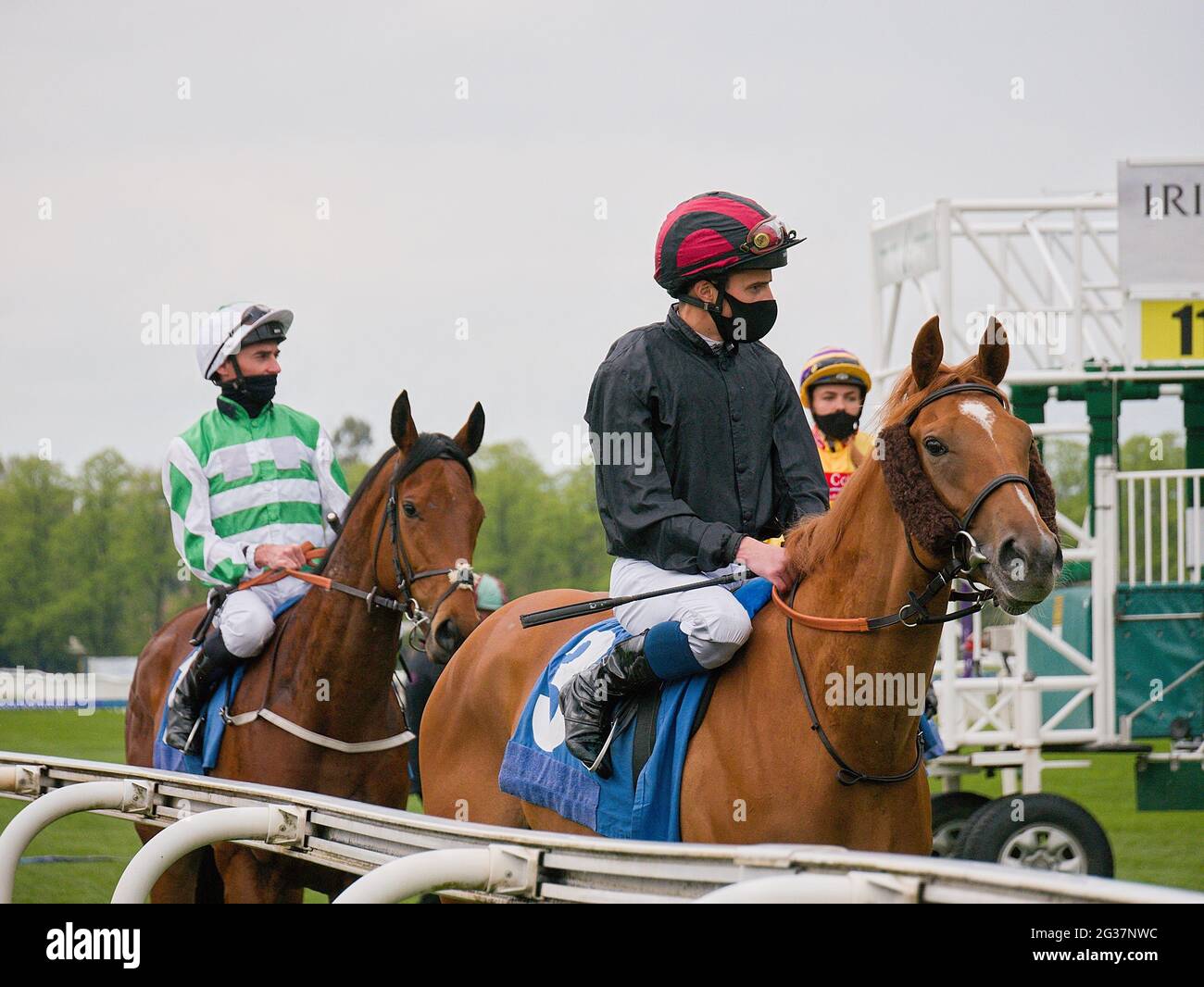 Jockeys Daniel Tudhope (circonscription de Doctor Parnassus), William Buick (circonscription de change) et Megan Nicholls (circonscription d'Intello Boy) avant le Th irlandais Banque D'Images