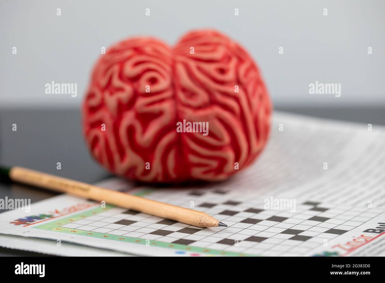 Alzheimer et le concept de formation de cerveau, casse-tête et mots croisés avec crayon Banque D'Images