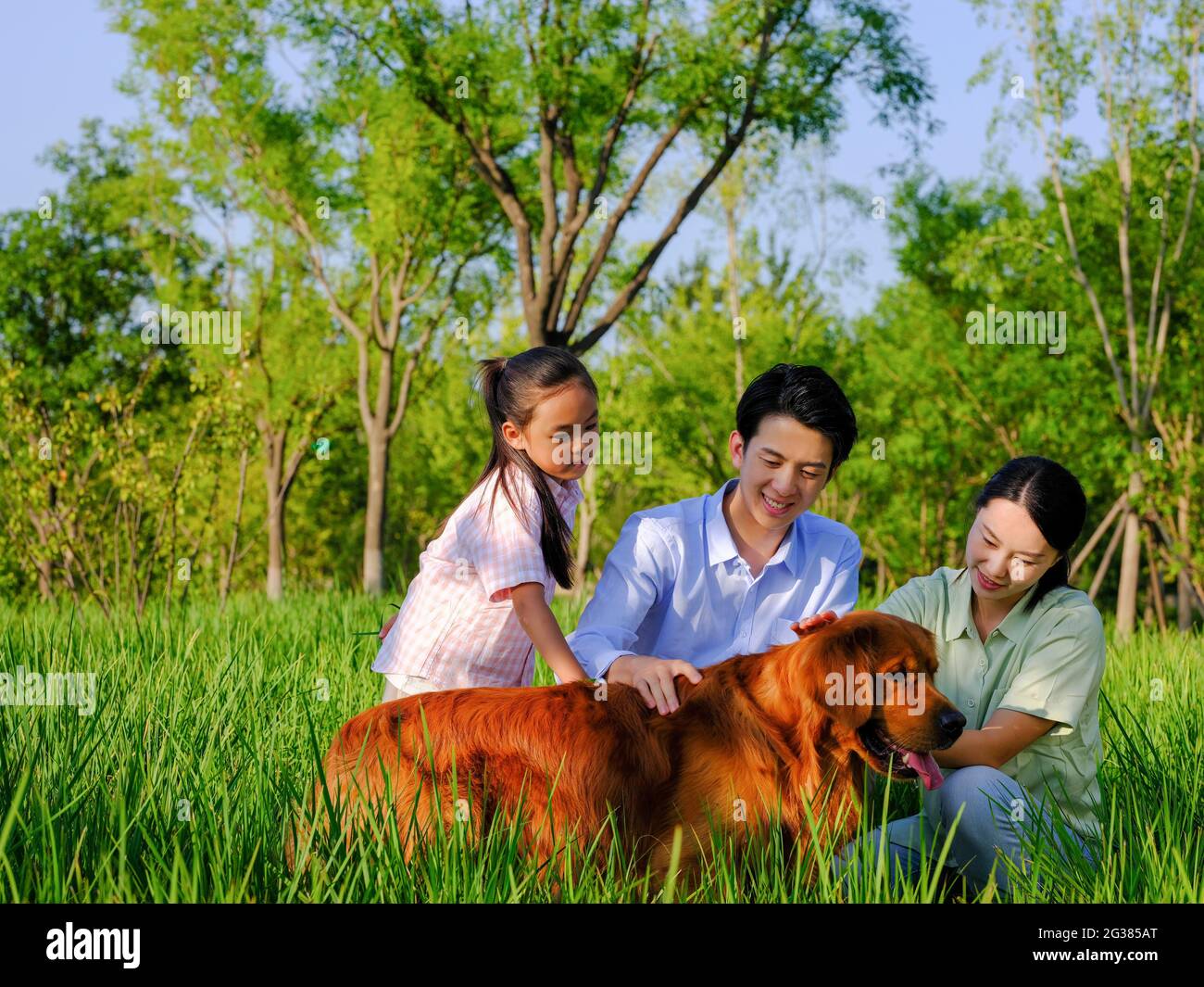 Bonne famille de trois et chien de compagnie jouant dans le parc photo de haute qualité Banque D'Images