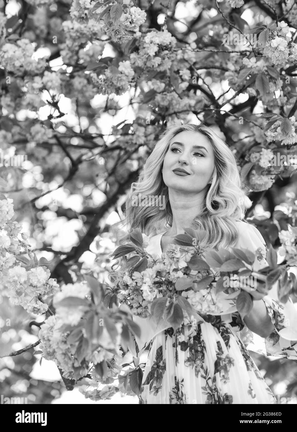 Une fille apprécie la sakura dans le jardin. Cerisier. Bonnes vibrations.  Arôme floral. Harmonie et énergie féminine. Arbre de printemps en fleurs.  Symbole de ressort. Raisons pour lesquelles Photo Stock - Alamy