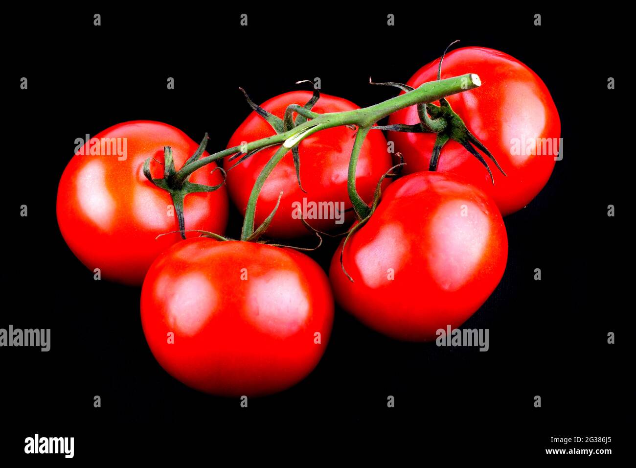 Tomate rouge avec tige, isolée sur noire. La tomate est la baie comestible de la plante Solanum lycopersicum, communément appelée plante de tomate. Andalousie, Banque D'Images