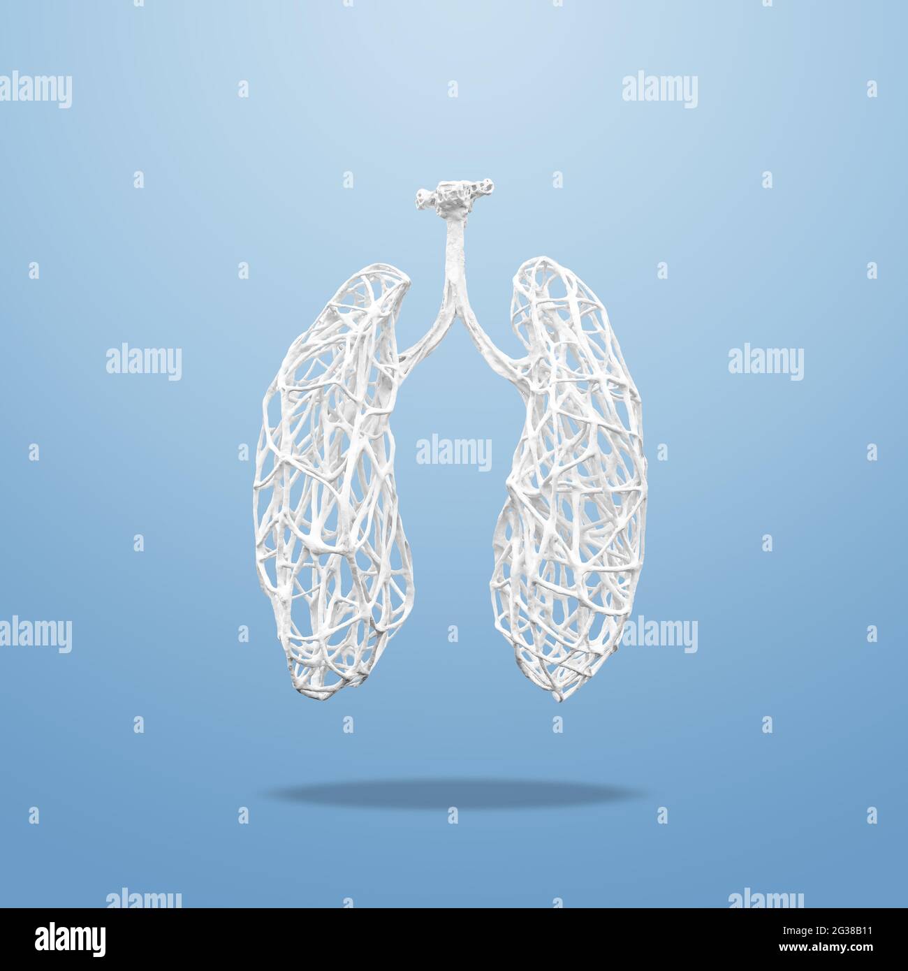 Concept médical fait de branches en bois blanc en forme de poumons humains sur fond bleu. Inflammation des poumons, épidémie virale. Banque D'Images