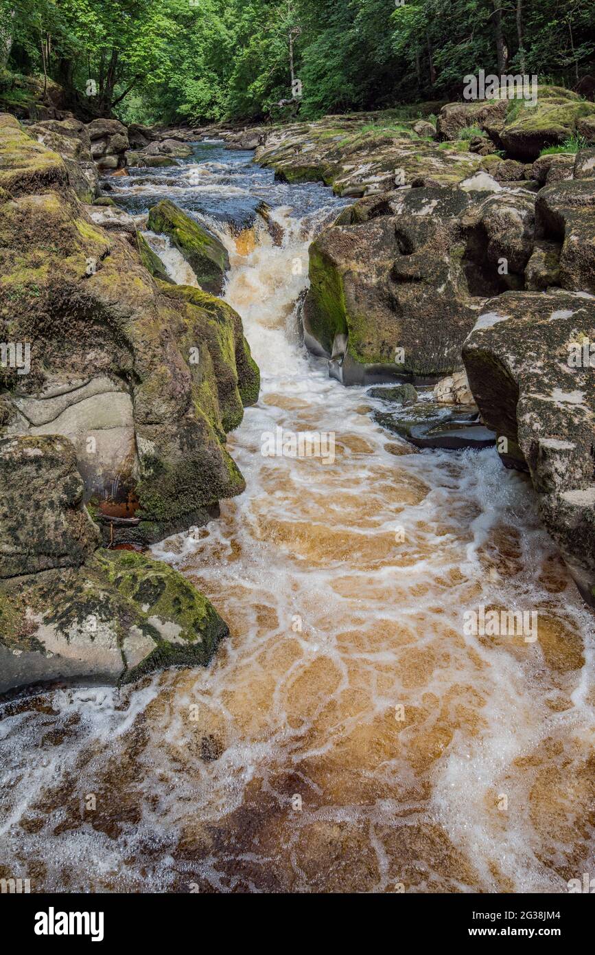 La Bolton STRID : la rivière la plus dangereuse du monde ? Banque D'Images