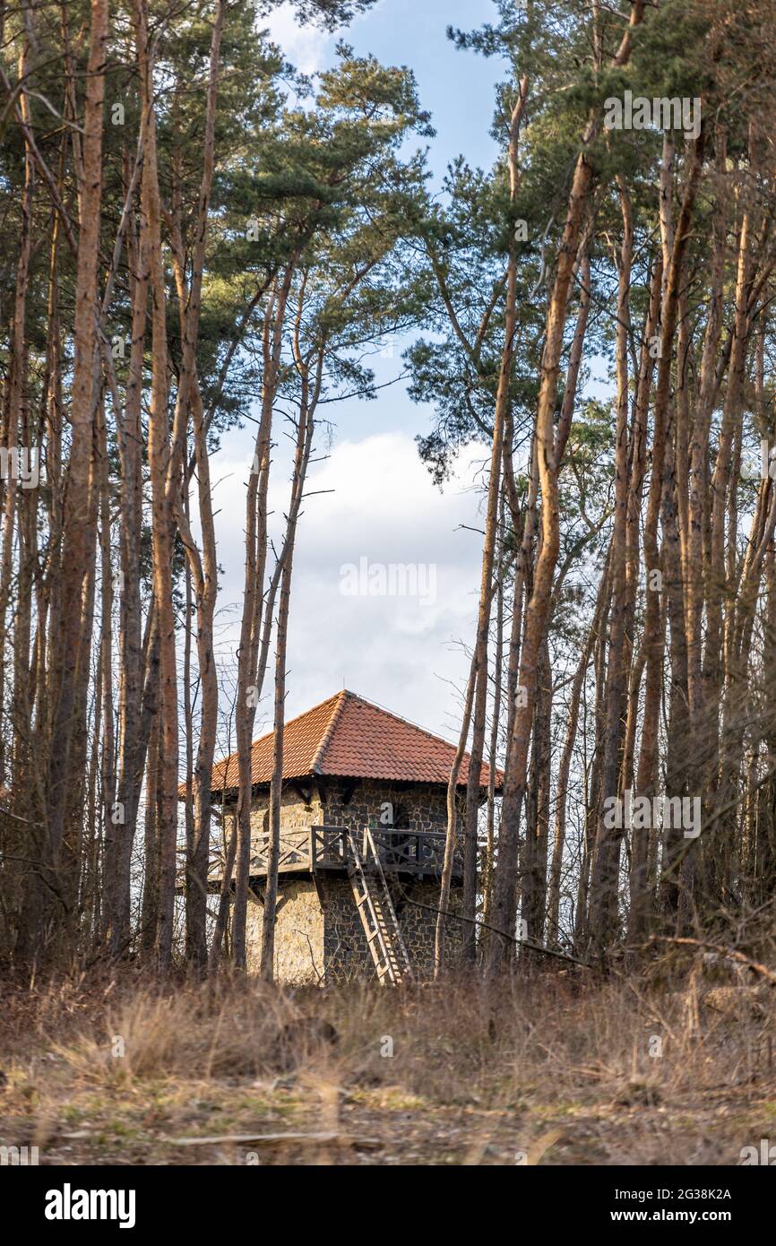 La tour de guet romaine reconstruite à Limes Germanicus, l'ancienne frontière entre l'Empire romain et la Magna Germania, à proximité de Pohlheim, en Allemagne Banque D'Images