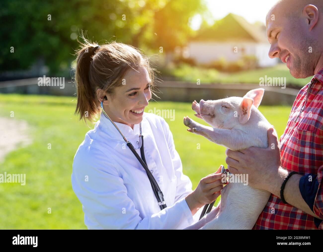 Jeune femme vétérinaire à l'écoute en utilisant le sthetoscope sourire. Un fermier tenant le porcelet souriant. Deux personnes parlent de travailler à l'extérieur de la ferme. Banque D'Images