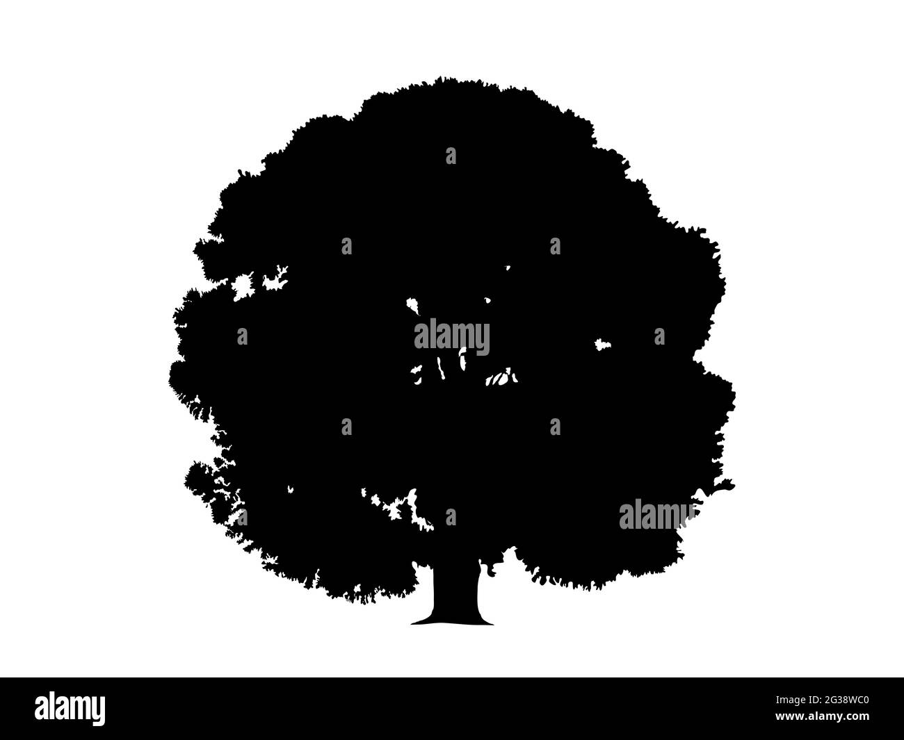 Symbole de chêne. Découpez la forme noire sur une illustration de fond blanc. Élément graphique pour logo, impression, design, motif. Banque D'Images