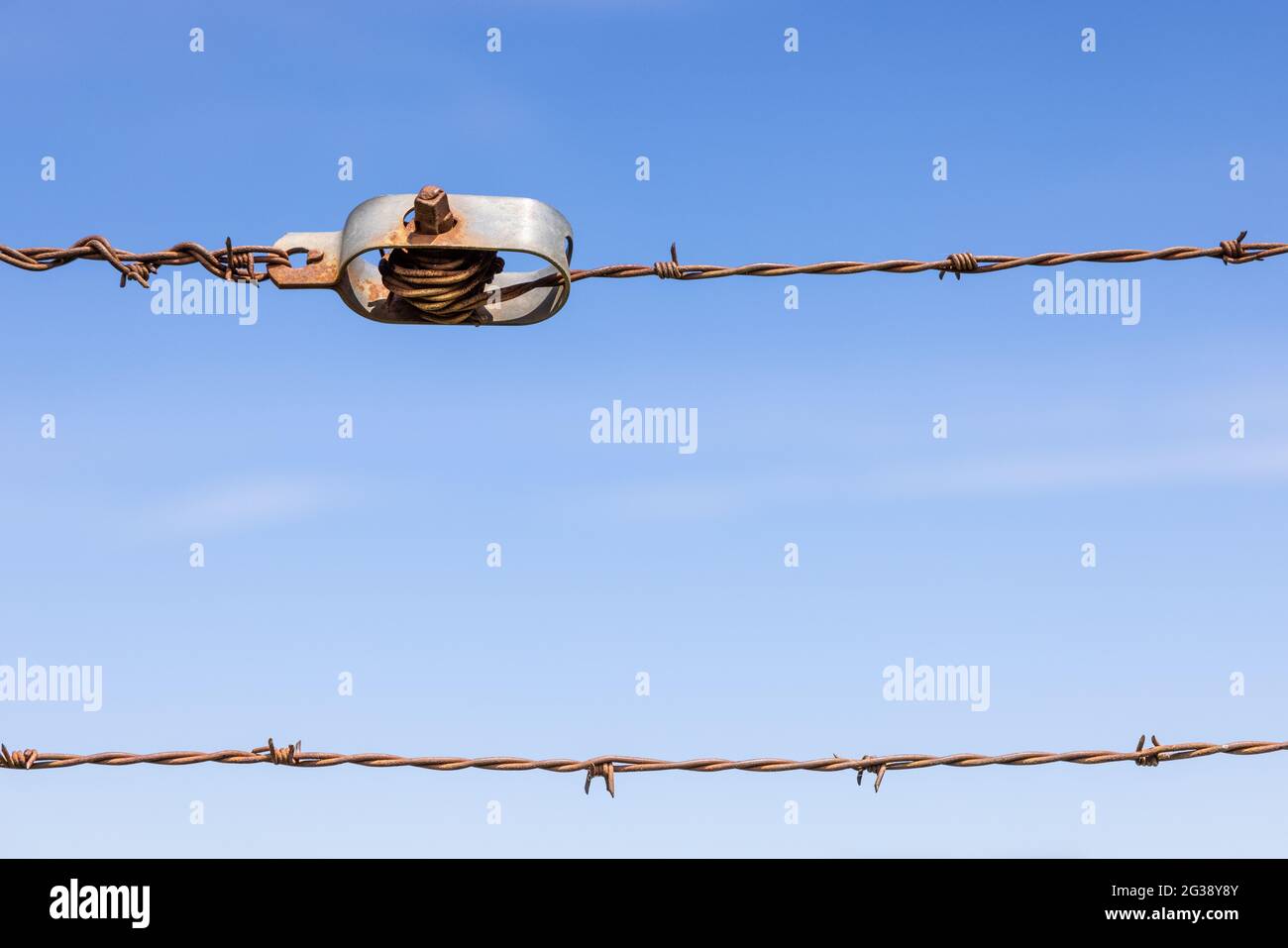 Gros plan du fil barbelé Banque D'Images