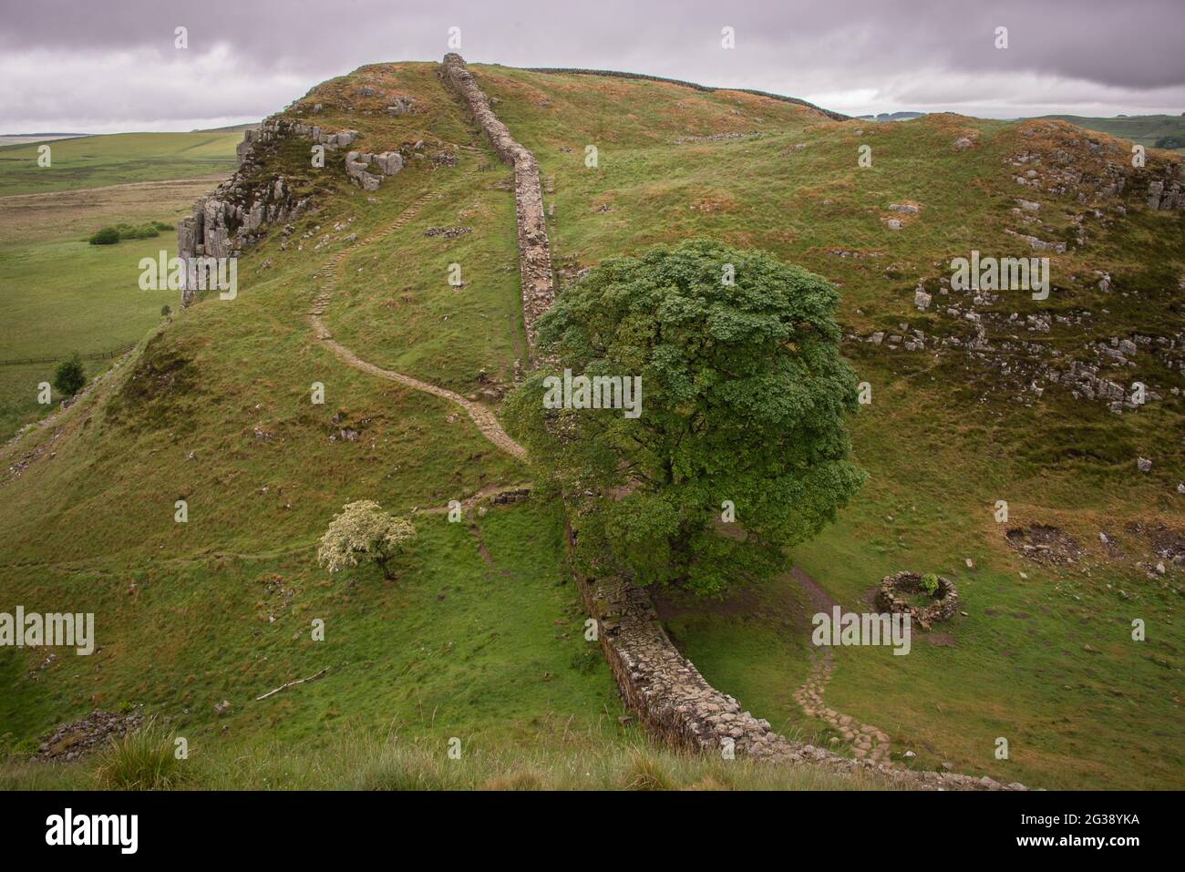 Vestiges du mur d'Hadrien, l'ancien mur-frontière romain traversant le nord de l'Angleterre, alors qu'ils descendent les collines jusqu'au célèbre point pittoresque de Sycamore Gap à l'ouest du fort romain Housesteads. Longeant l'ensemble du site classé au patrimoine mondial de l'UNESCO, le chemin du mur d'Hadrien est l'un des sentiers de randonnée les plus populaires d'Angleterre. Le célèbre arbre a été abattu dans un acte de vandalisme en 2023. Banque D'Images