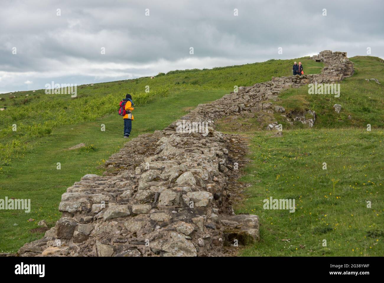 Vestiges d'un segment du mur d'Hadrien, l'ancien mur frontalier romain traversant le nord de l'Angleterre, sur les falaises de Sewingshields Crags près de Milecastle 35 à l'est du fort romain Housesteads. Longeant l'ensemble du site classé au patrimoine mondial de l'UNESCO, le chemin du mur d'Hadrien est l'un des sentiers de randonnée les plus populaires d'Angleterre. Banque D'Images