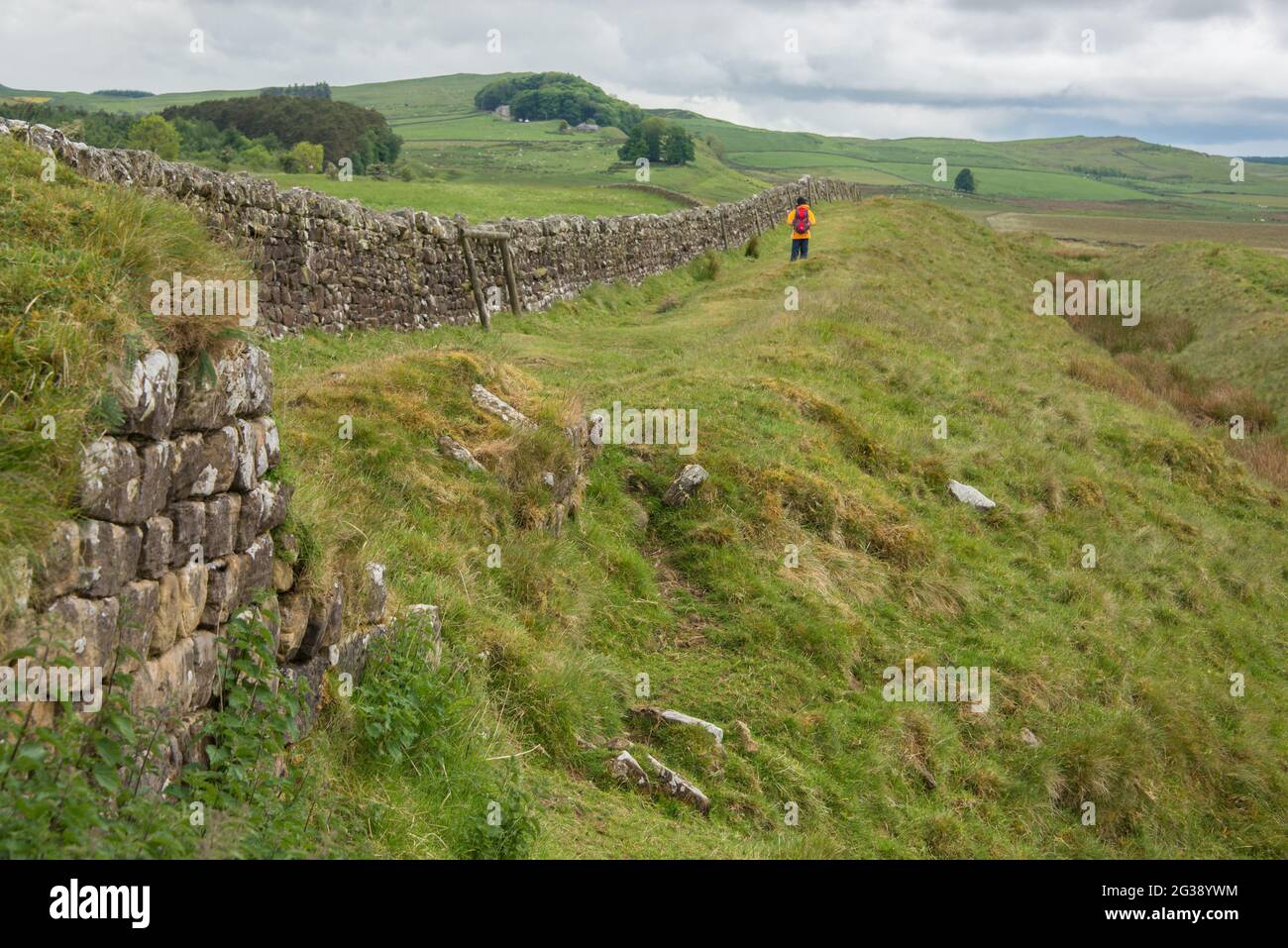 Vestiges d'un segment du mur d'Hadrien, l'ancien mur frontalier romain traversant le nord de l'Angleterre près de Milecastle 33 à l'est du fort romain Housesteads. Longeant l'ensemble du site classé au patrimoine mondial de l'UNESCO, le chemin du mur d'Hadrien est l'un des sentiers de randonnée les plus populaires d'Angleterre. Banque D'Images