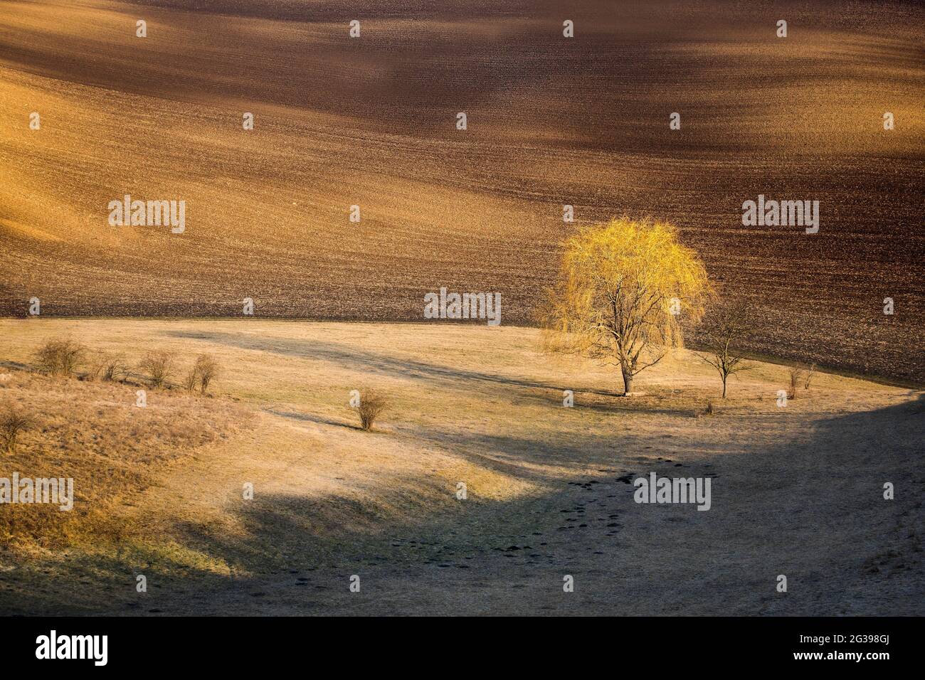Toscane morave, paysage agricole dans le sud de la République tchèque Banque D'Images