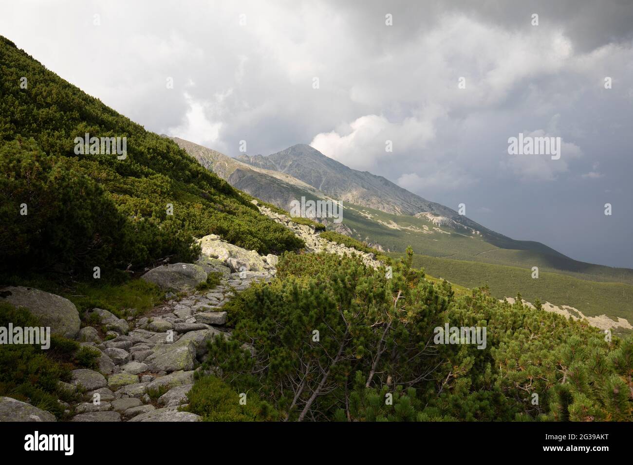 Montagnes Slovakian Tatra en été Banque D'Images