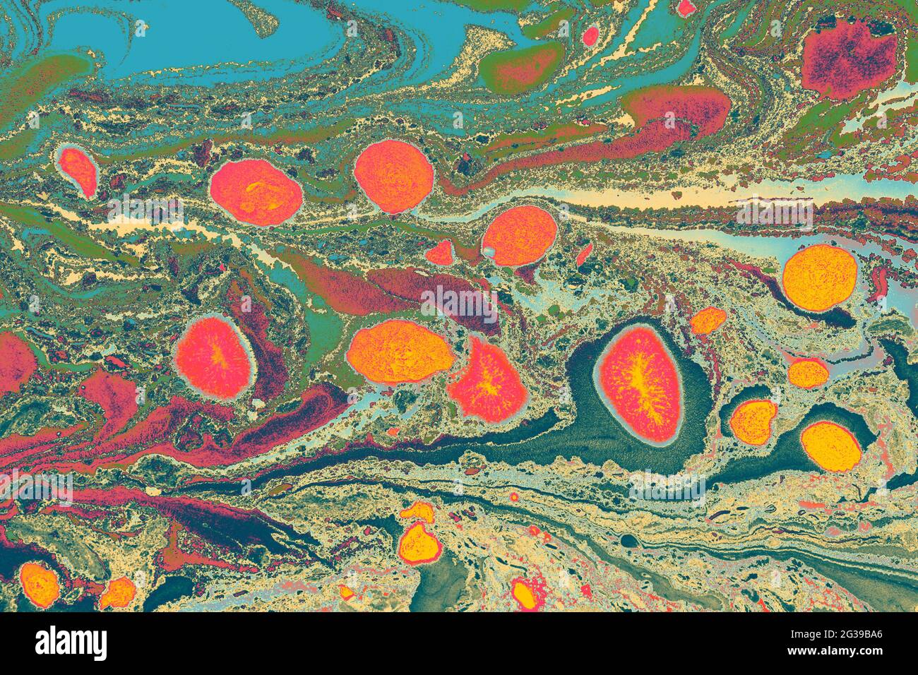 Texture abstraite de motif en marbre créatif. Art traditionnel de l'EBR Banque D'Images