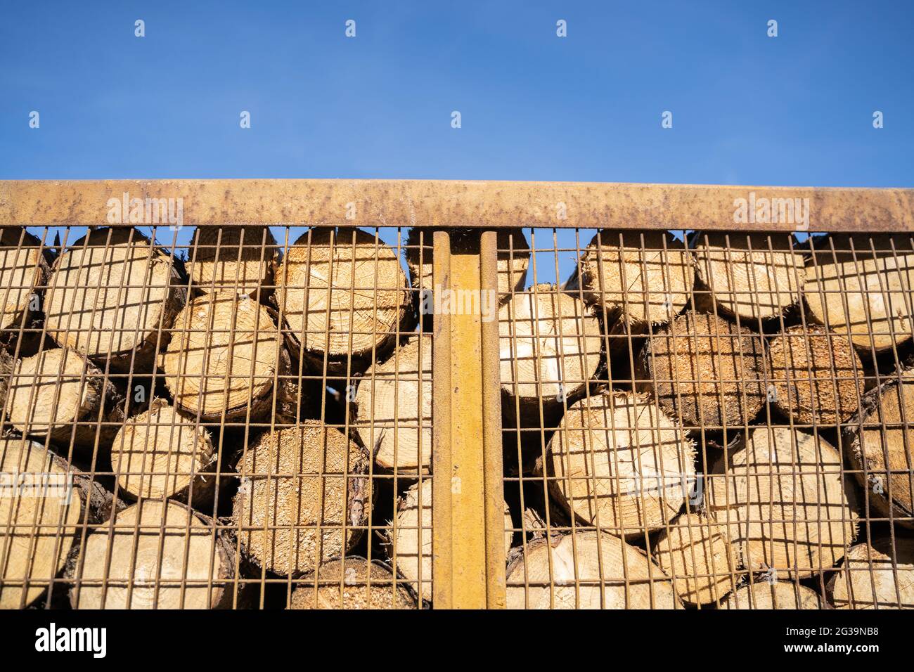 Les billes de bois non traitées se trouvent l'une sur l'autre dans un récipient métallique à l'extérieur Banque D'Images