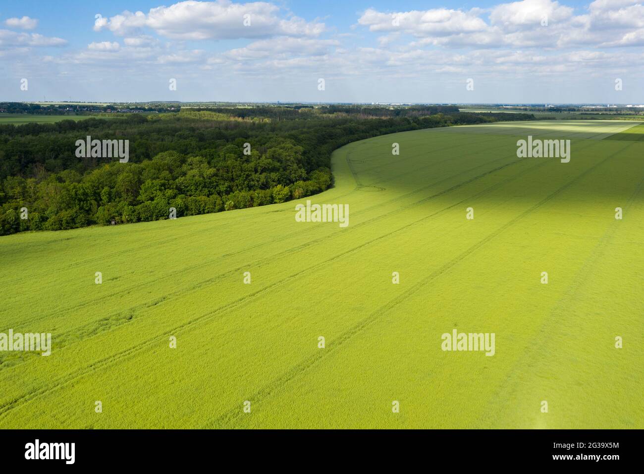 Wanzleben, Allemagne. 13 juin 2021. Les champs fraîchement labourés s'étendent jusqu'à l'horizon dans le Magdeburger Börde. (Photo prise avec un drone). Credit: Stephan Schulz/dpa-Zentralbild/ZB/dpa/Alay Live News Banque D'Images