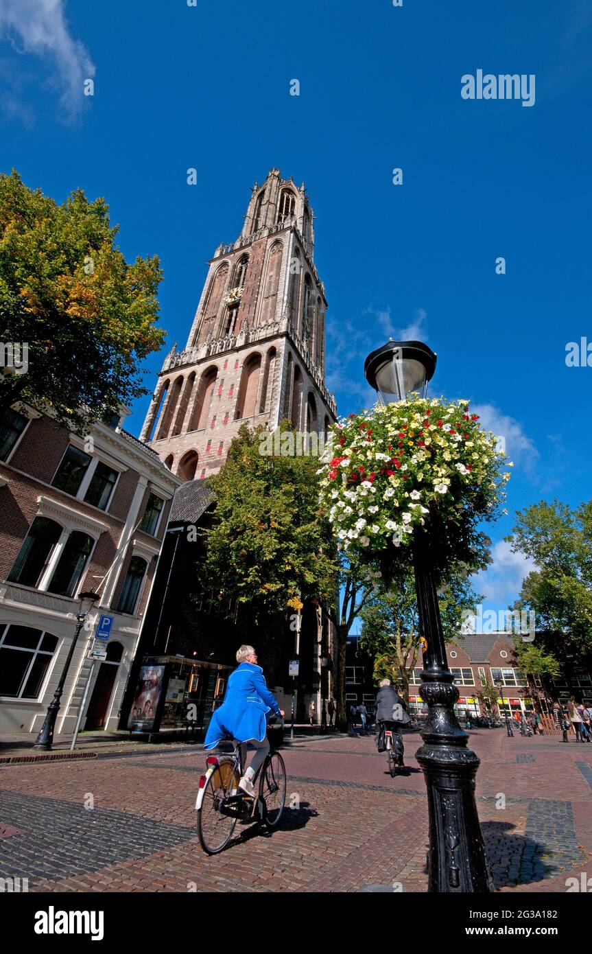 Le Domtoren (clocher de la cathédrale St Martin, 112 m, le plus haut des pays-Bas), Utrecht, pays-Bas Banque D'Images