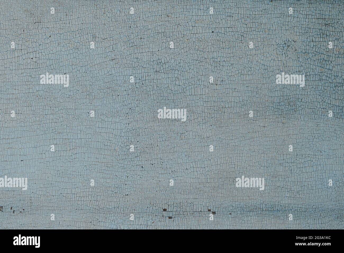 L'ancienne surface en bois est recouverte d'une peinture bleu clair décolorée, finement fissurée par la vieillesse. Texture, arrière-plan. Banque D'Images