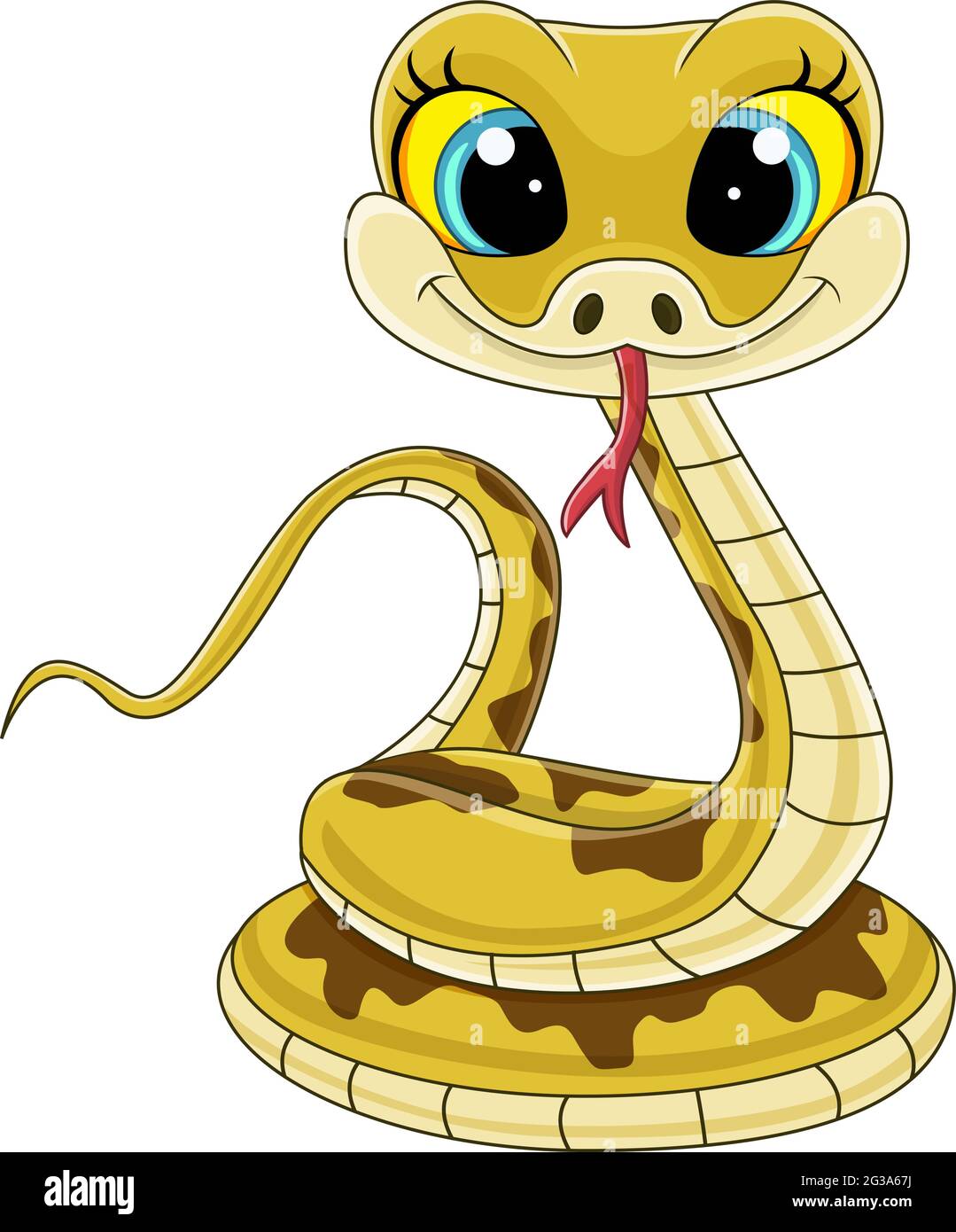 Baby Viper Snake Banque D Images Vectorielles Alamy Baby Viper Snake Banque D Images Vectorielles Alamy