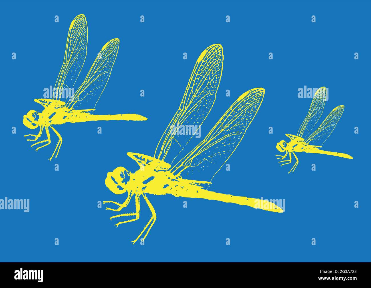 silhouette d'insecte, libellule, illustration vectorielle Illustration de Vecteur