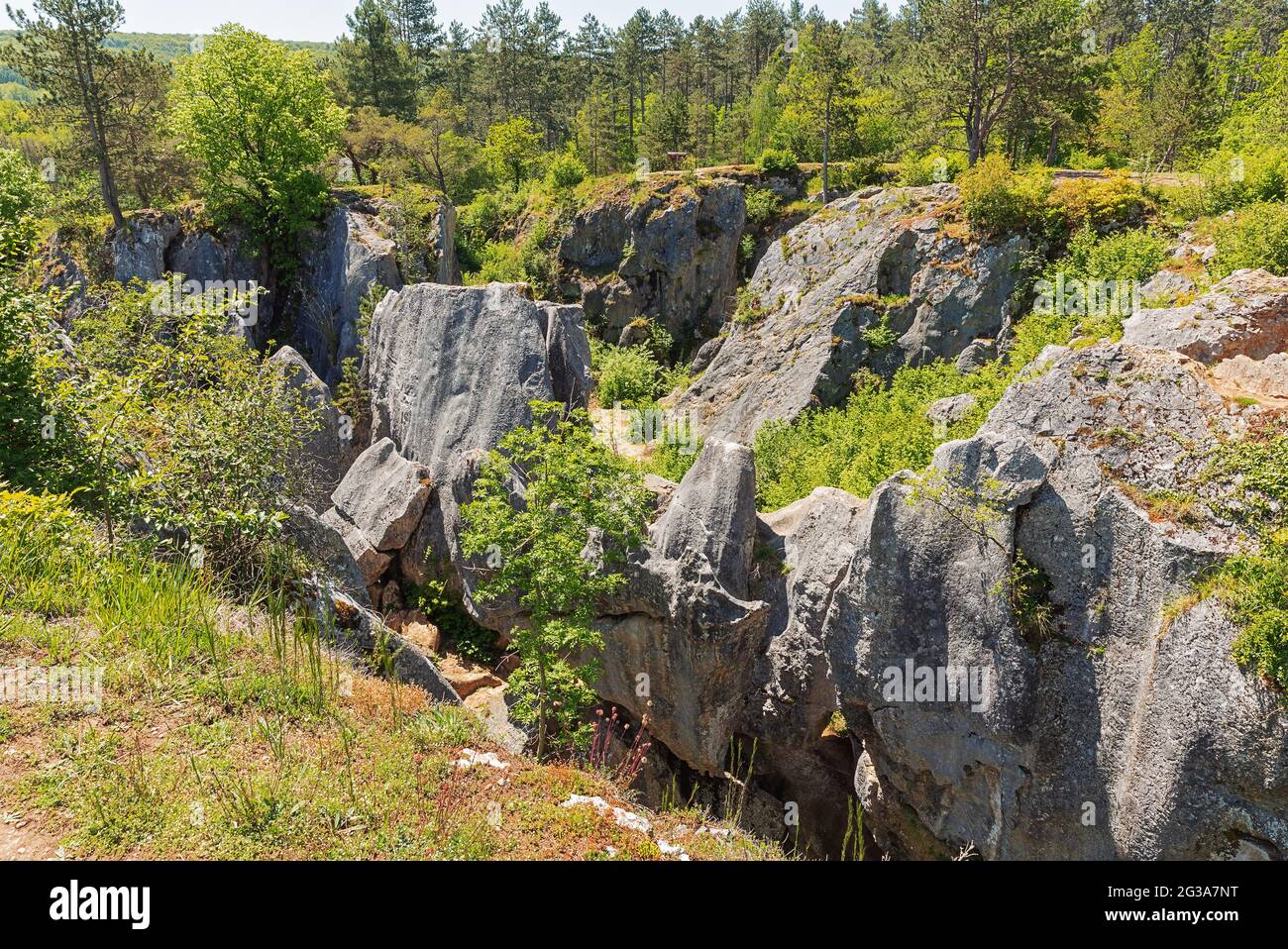 Vue d'ensemble de la Fondry des chiens à Nismes; Fondry vient de la fonderie française parce que le minerai de fer du gouffre a été fondu. Banque D'Images