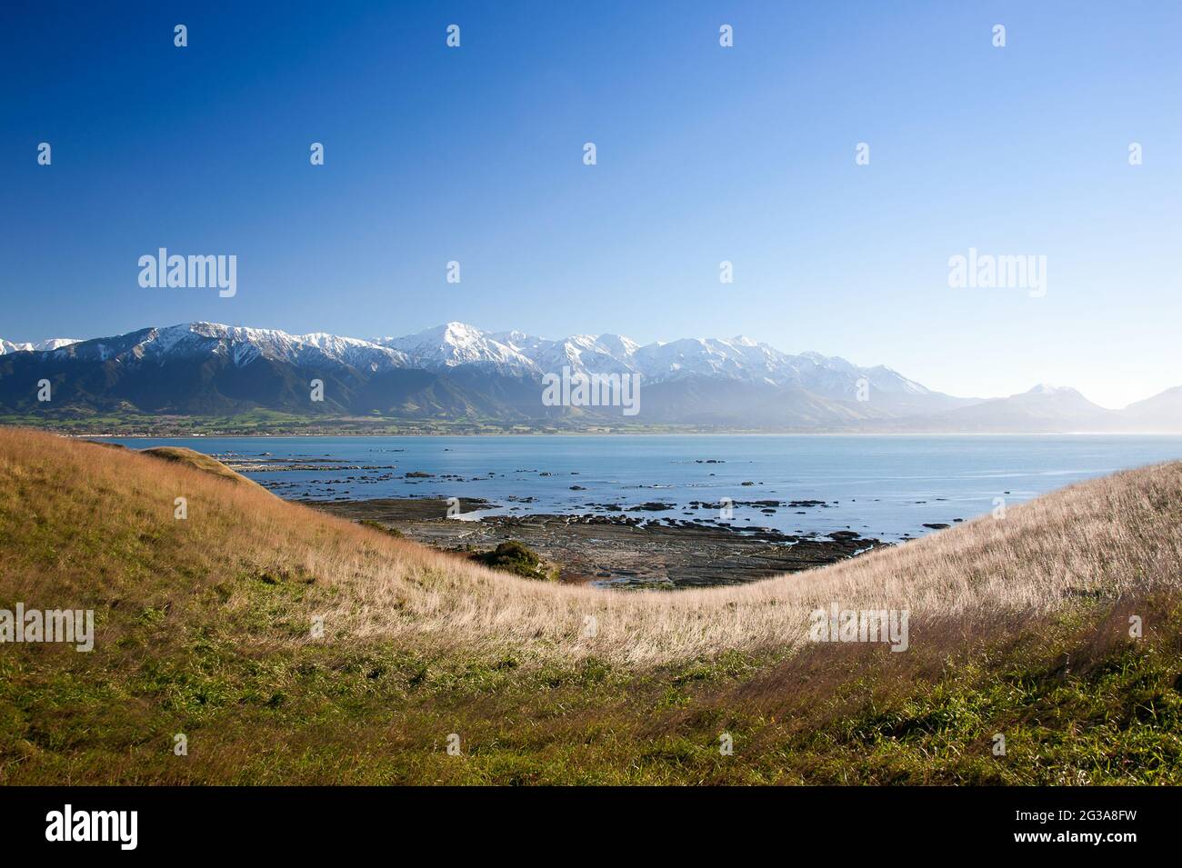 Côte de Kaikoura, Canterbury, Nouvelle-Zélande. Vue panoramique depuis une colline herbeuse, la péninsule de Kaikoura traverse la baie jusqu'aux montagnes enneigées Banque D'Images