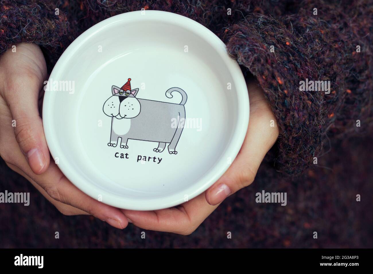 Party Cat » Ursula Dodge Design – bol alimentaire pour animaux de compagnie  pour les articles de maison en grès Signature Photo Stock - Alamy