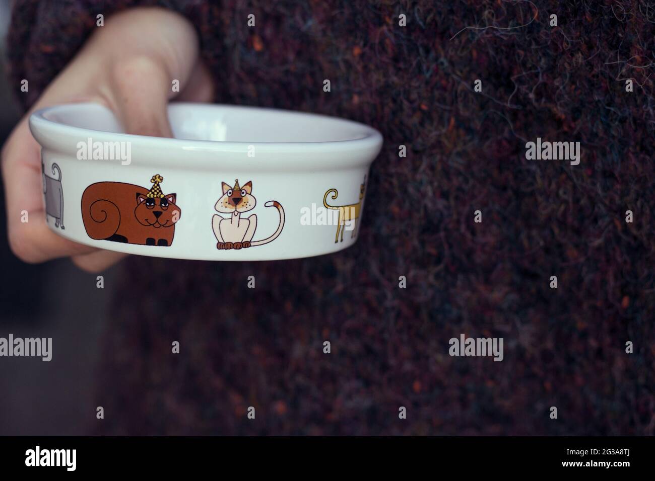 « Party Cat » Ursula Dodge Design – bol alimentaire pour animaux de compagnie pour les articles de maison en grès Signature Banque D'Images