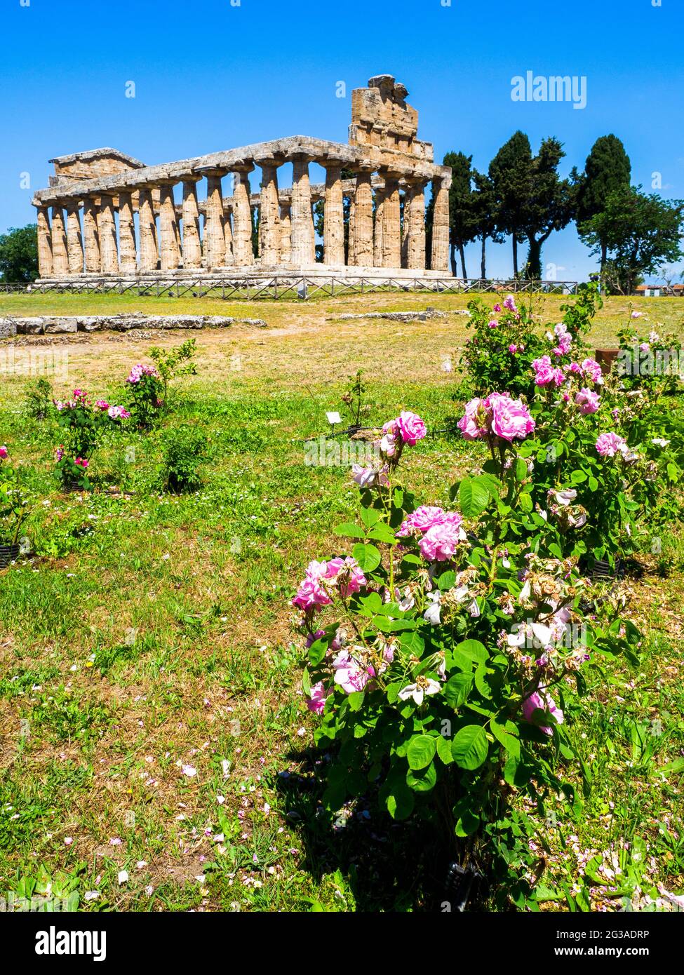 Le temple grec de style dorique d'Athena - zone archéologique de ​​Paestum - Salerne, Italie Banque D'Images