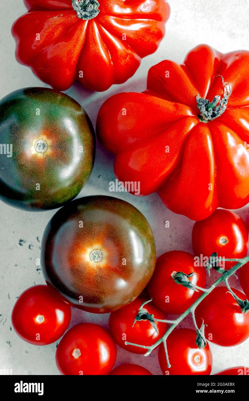 Sélection de tomates rouges mûres riches, de tomates de bœuf, isolées sur un fond Uni Banque D'Images