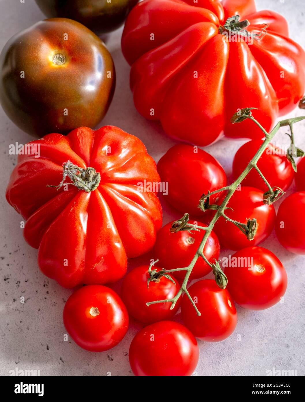 Sélection de tomates rouges mûres riches, de tomates de bœuf, isolées sur un fond Uni Banque D'Images