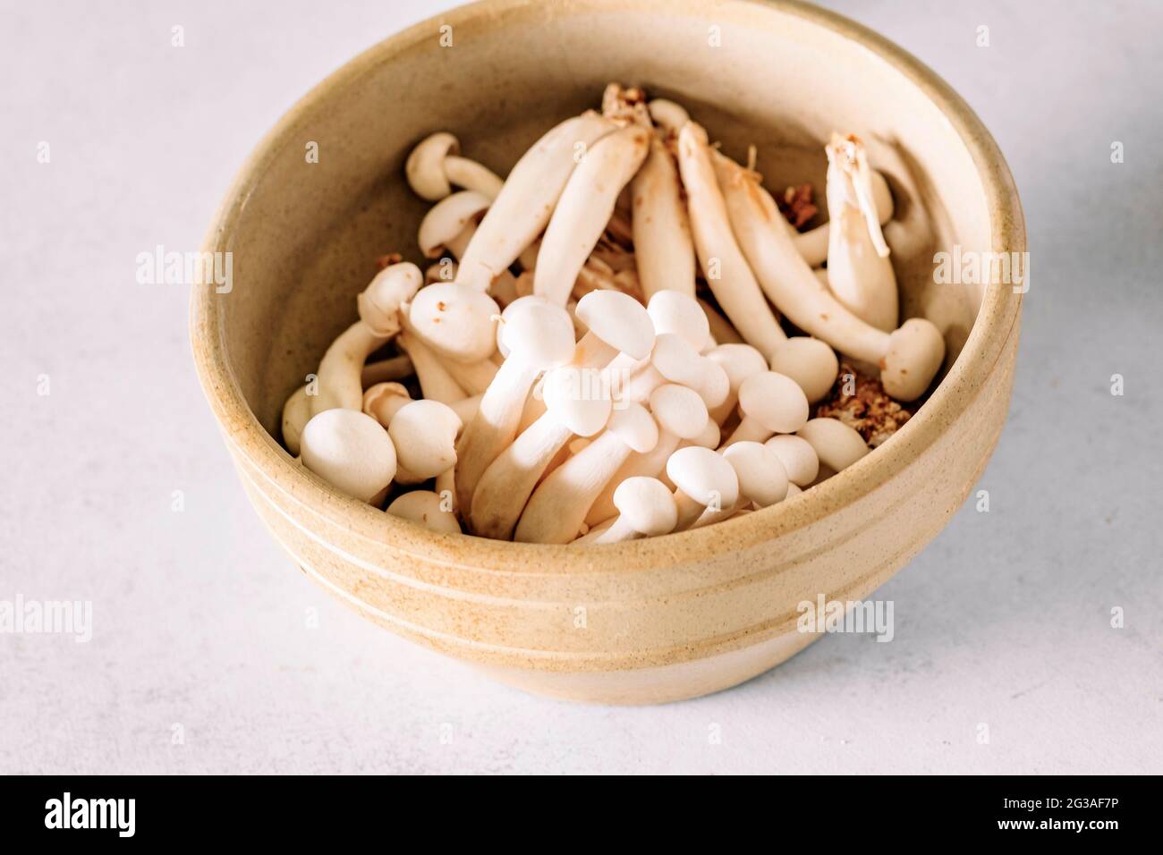 Champignon Enoki asiatique blanc, nourriture végétarienne brute, champignon, gros plan Banque D'Images