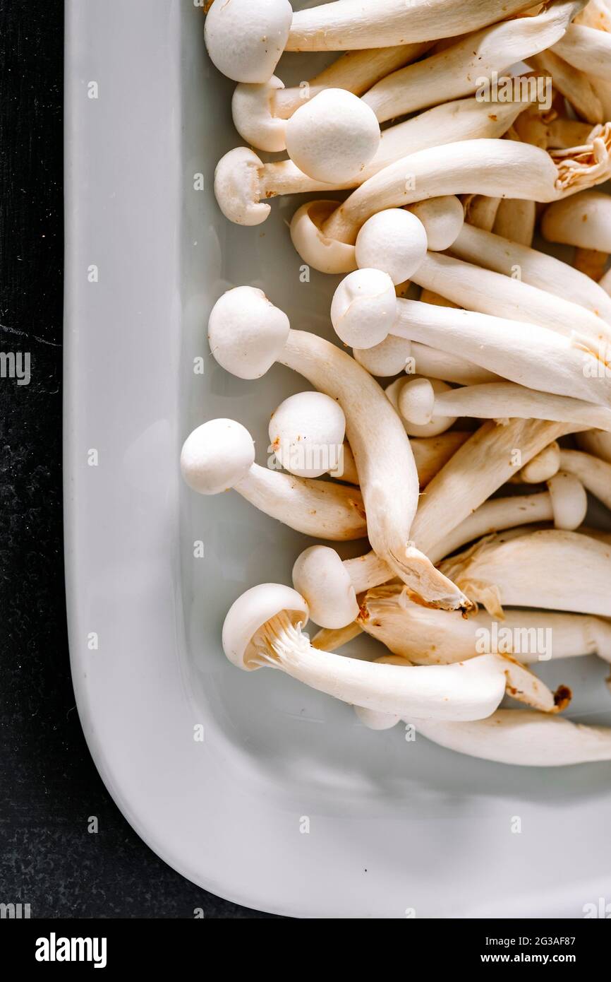 Champignon Enoki asiatique blanc, nourriture végétarienne brute, champignon, gros plan Banque D'Images