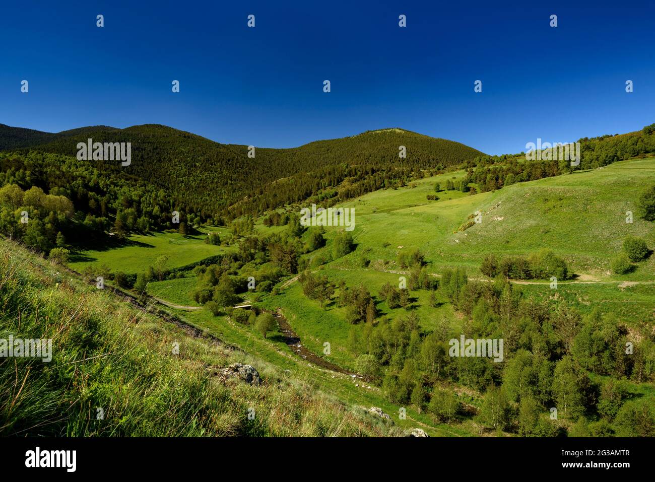 Vallée de Santa Magdalena au printemps (Parc naturel Alt Pirineu, Catalogne, Espagne, Pyrénées) ESP: Valle de Santa Magdalena en primavera (Pirineos, España) Banque D'Images