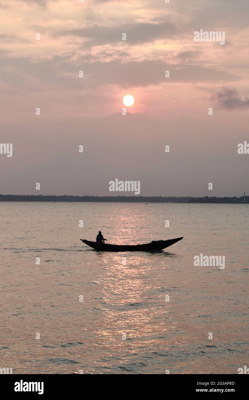 La lumière du soleil remplit la nature Banque D'Images