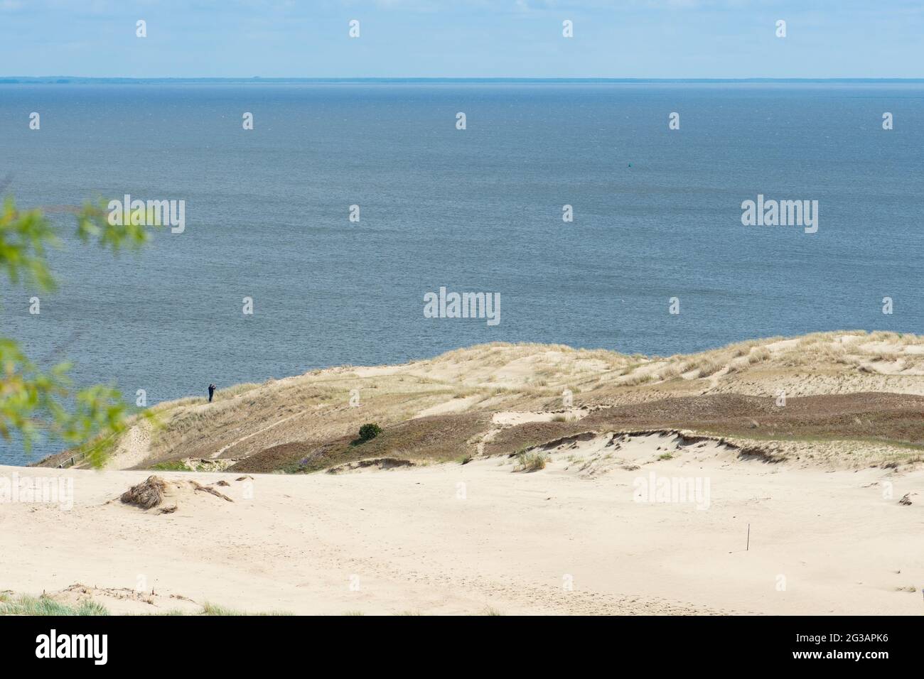 Vue panoramique sur les dunes de sable de Nida, Klaipeda, Lituanie, Europe. Spit de Curonian et lagune de Curonian. Dunes baltes sur la mer Baltique. Patrimoine de l'UNESCO Banque D'Images