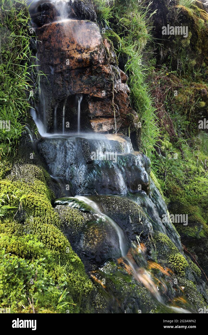 Source d'eau douce entourée de mousse verte luxuriante et de gazon, Royaume-Uni Banque D'Images