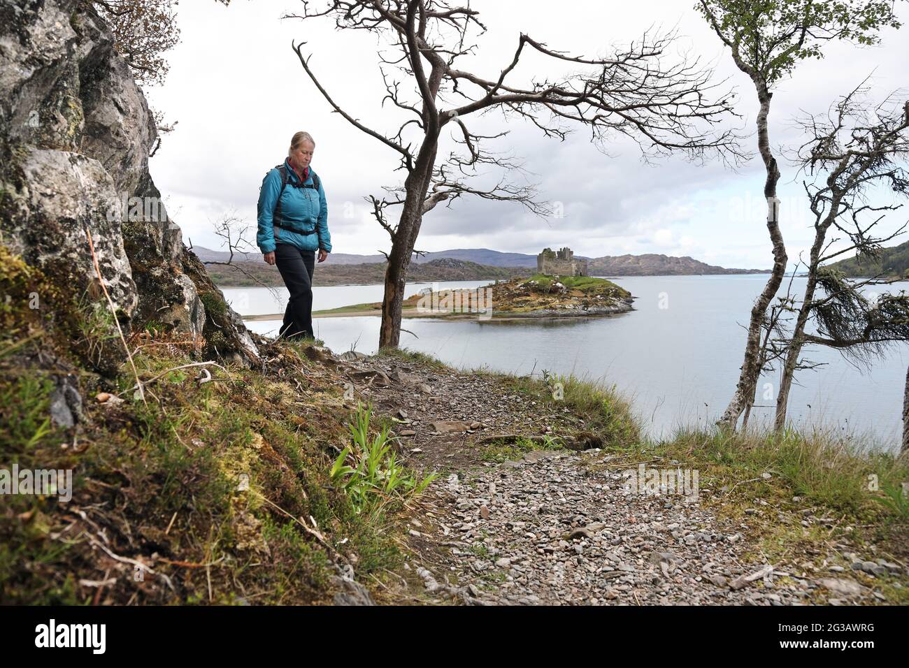Walker sur le Silver Walk avec le château de Tioram sur le Loch Moidart en arrière-plan, Ardnamurchan, péninsulaire, Écosse, Royaume-Uni Banque D'Images