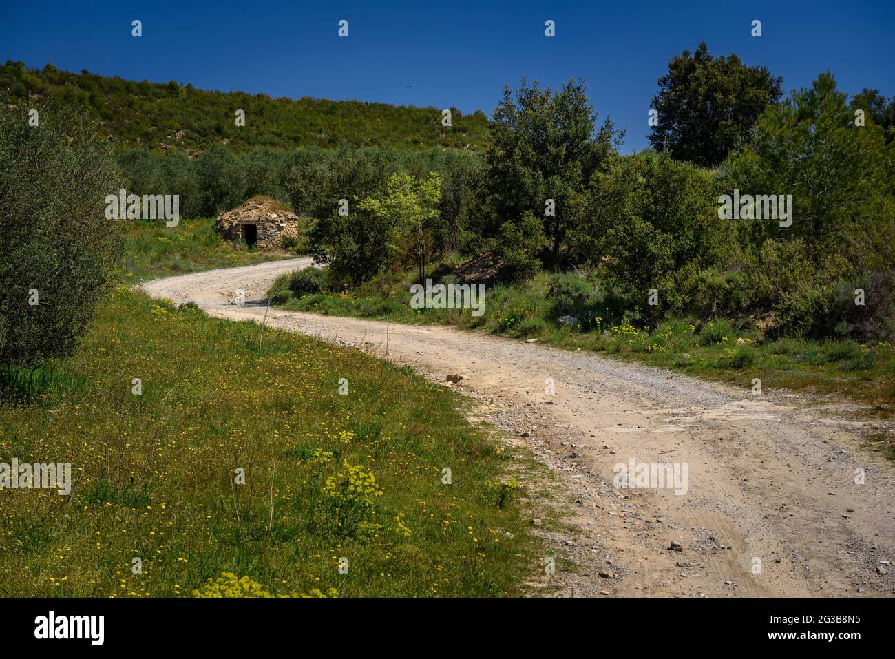 Cabane en pierre sèche sur le côté d'un sentier forestier au printemps (Bages, Barcelone, Catalogne, Espagne) ESP: Chozo de piedra seca al lado de una pista forestal Banque D'Images