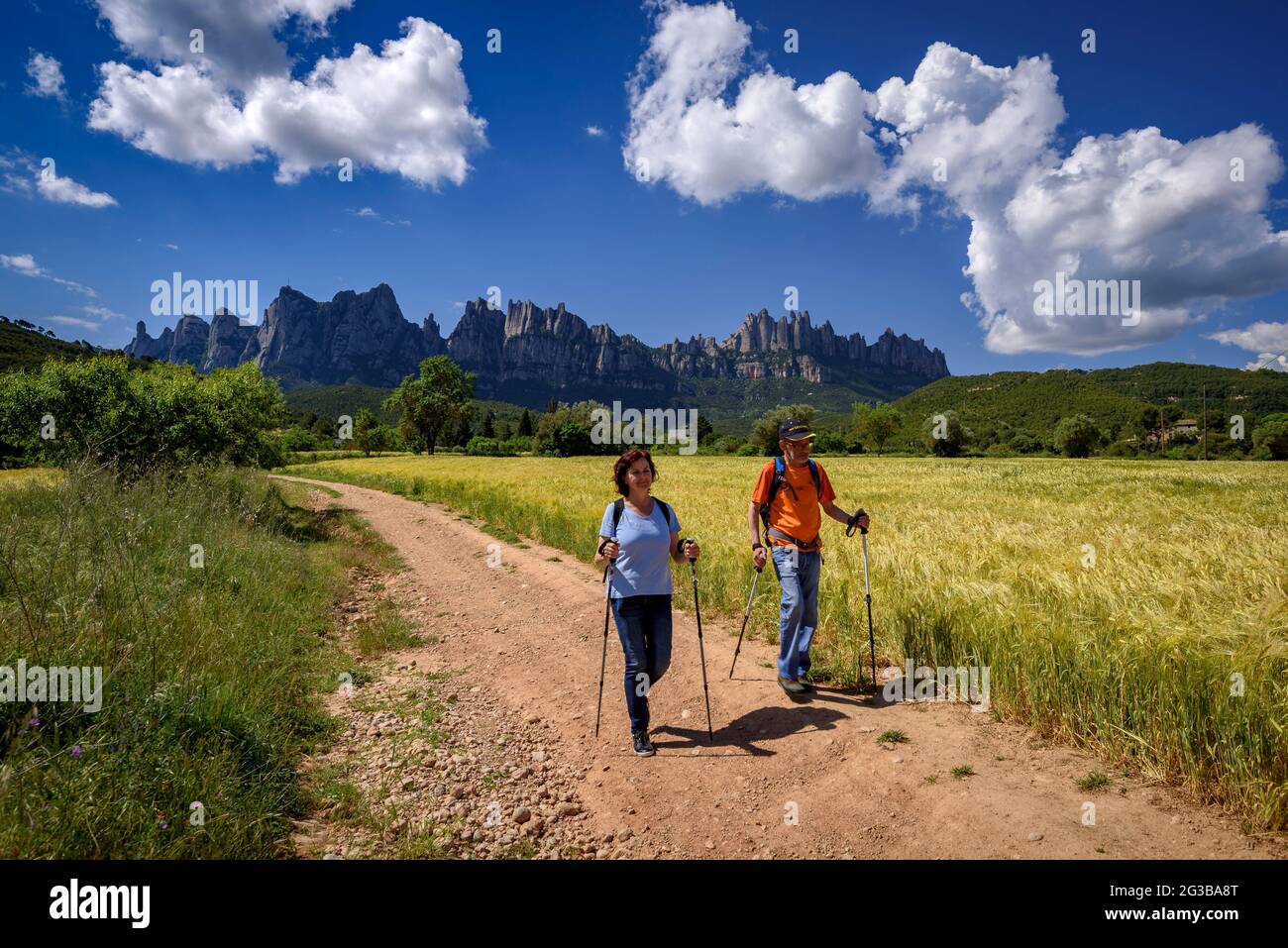 Randonneurs marchant entre les champs de la Pla de Masroig, avec la montagne de Montserrat en arrière-plan (Bages, Barcelone, Catalogne, Espagne) Banque D'Images