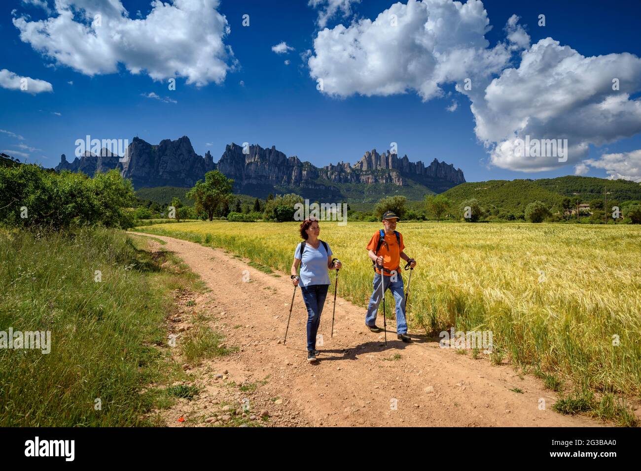 Randonneurs marchant entre les champs de la Pla de Masroig, avec la montagne de Montserrat en arrière-plan (Bages, Barcelone, Catalogne, Espagne) Banque D'Images