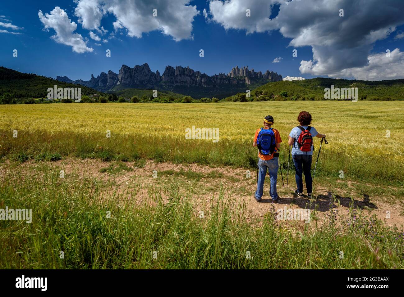 Randonneurs marchant entre les champs de la Pla de Masroig, avec la montagne de Montserrat en arrière-plan (Bages, Barcelone, Catalogne, Espagne) Banque D'Images