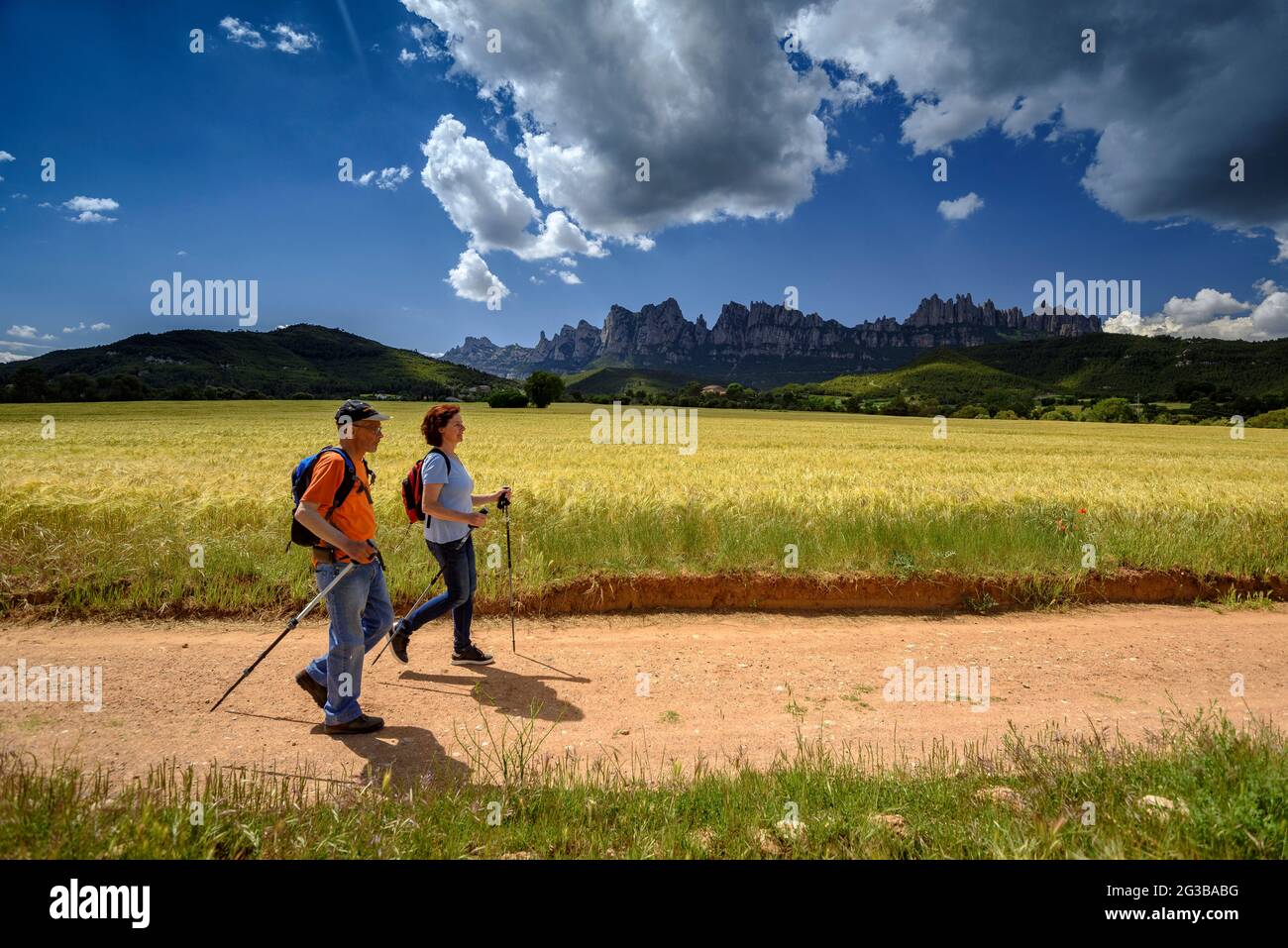 Randonneurs marchant entre les champs de la Pla de Masroig, avec la montagne de Montserrat en arrière-plan (Bages, Barcelone, Catalogne, Espagne) Banque D'Images
