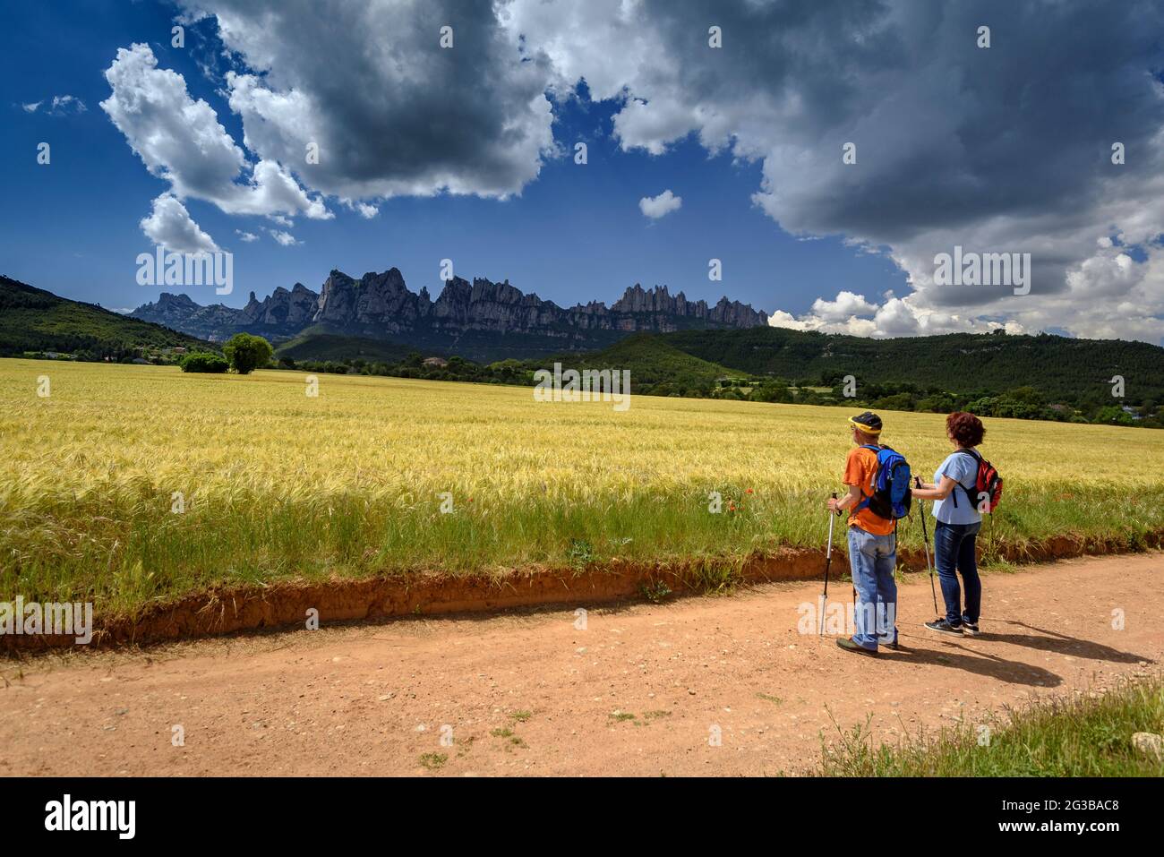 Randonneurs marchant entre les champs de la Pla de Masroig, avec la montagne de Montserrat en arrière-plan (Bages, Barcelone, Catalogne, Espagne) Banque D'Images